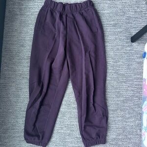 Aerie Jet Setter sweatpants (Small)